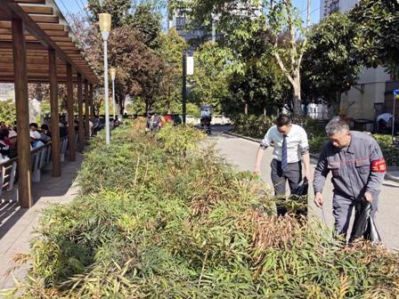 1743037911420619.jpg 3.jpg