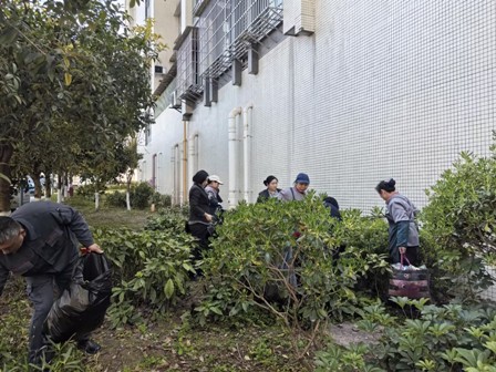 1743037919316325.jpg 4.jpg