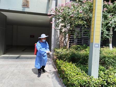 1756196333350280.jpg 2.jpg